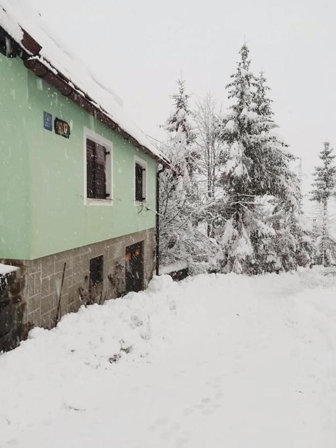 Forest Chalet Zalesina Zewnętrze zdjęcie