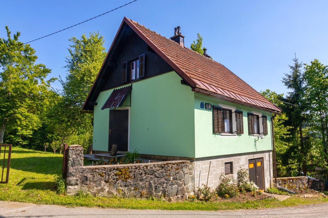 Forest Chalet Zalesina Zewnętrze zdjęcie