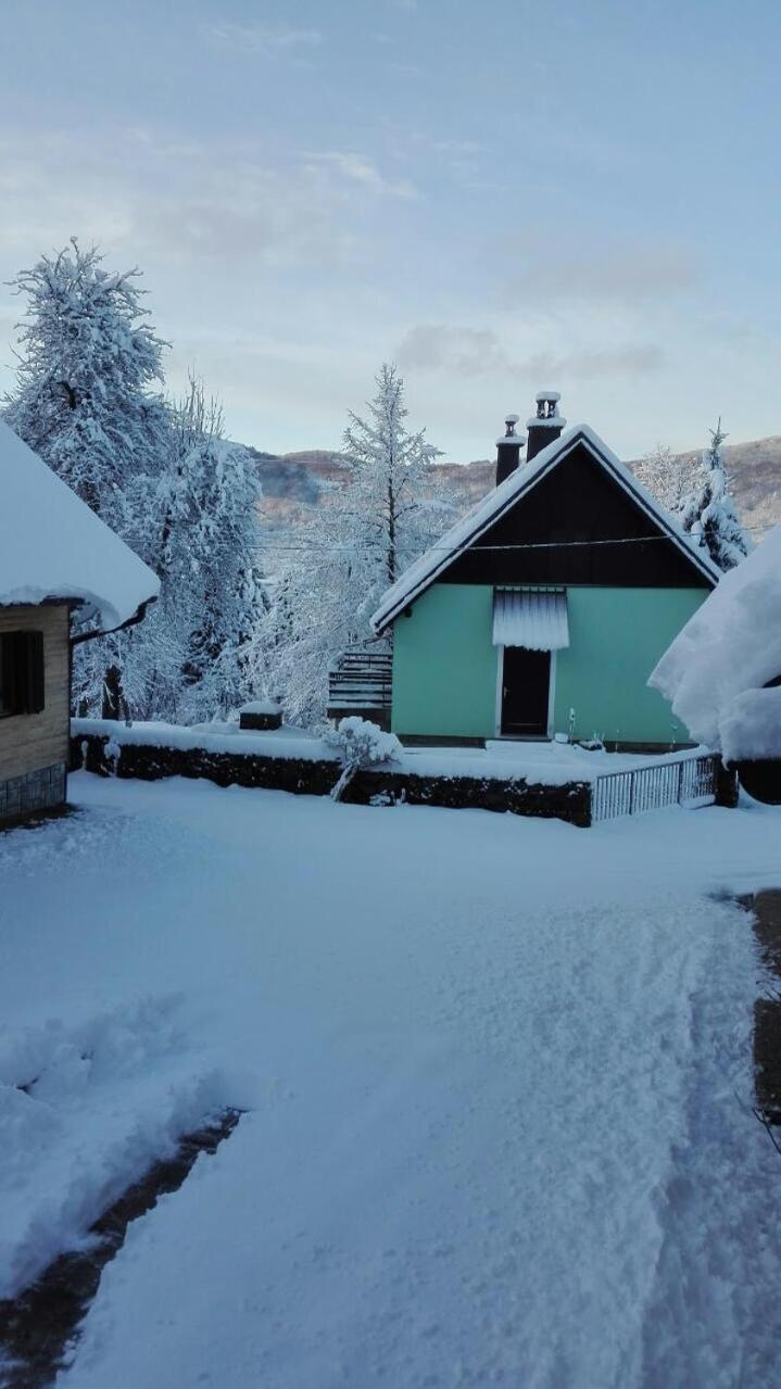Forest Chalet Zalesina Zewnętrze zdjęcie